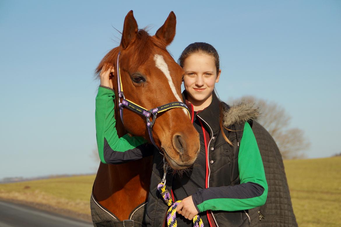 Tysk Sportspony Celette - Velkommen til Celettes profil.  billede 1