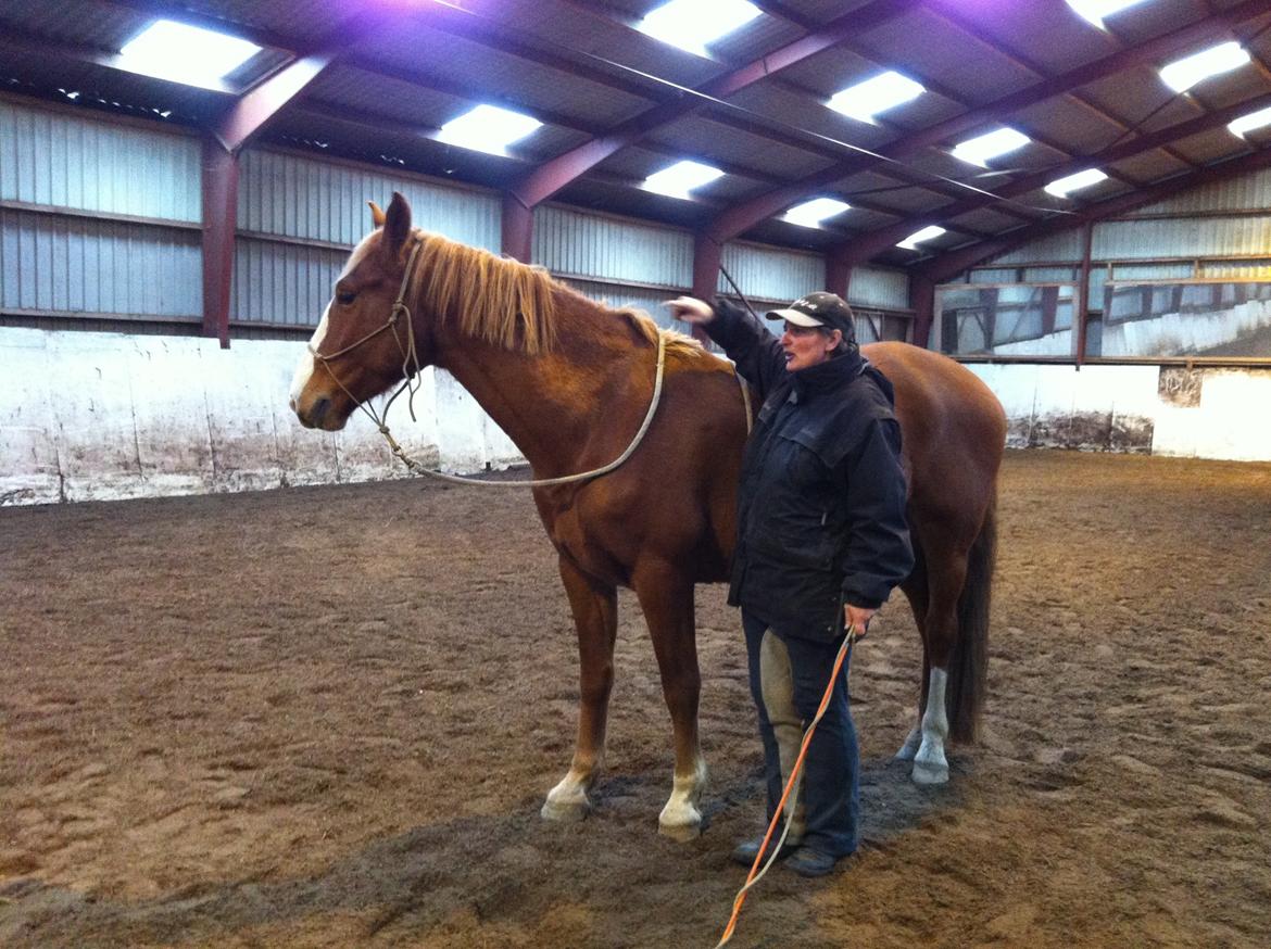 Frederiksborg Skywalker billede 18