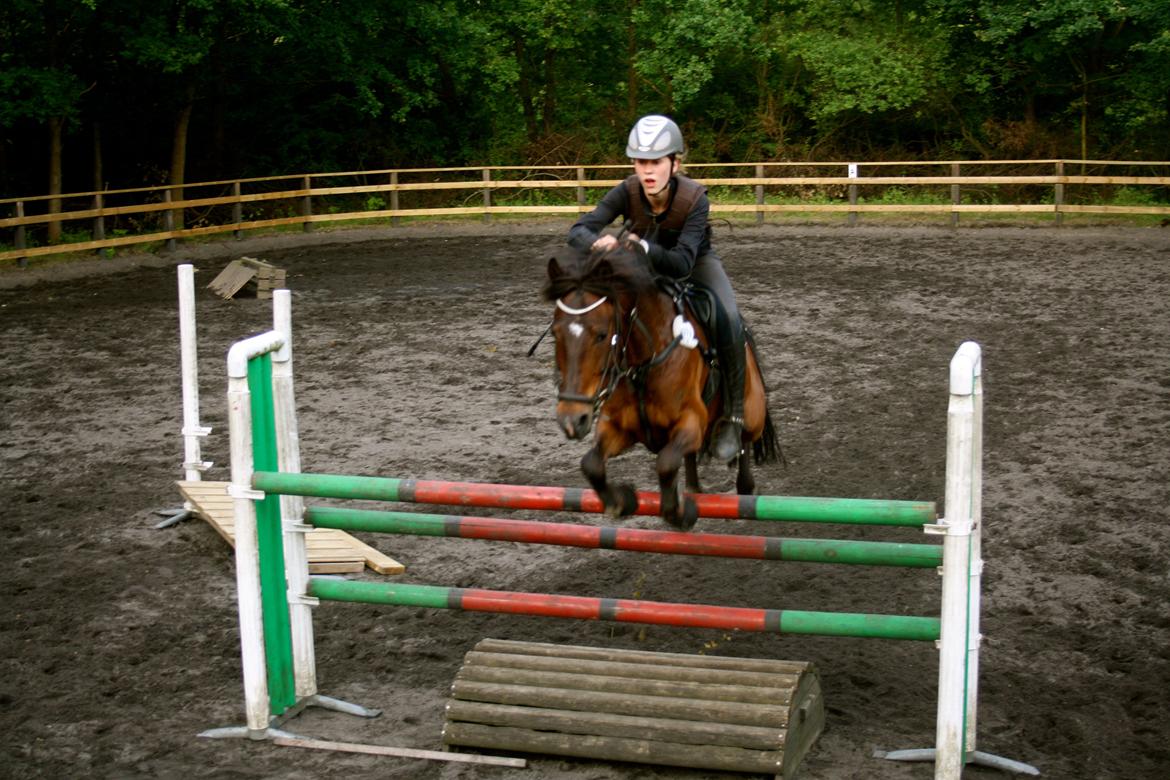 Tysk Sportspony Timo 215¨ - 130. Fotograf Anna Smit eller Victoria billede 15