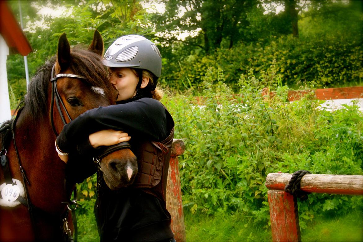 Tysk Sportspony Timo 215¨ - Verdens bedste pony! Jeg savner dig så utrolig meget! billede 1