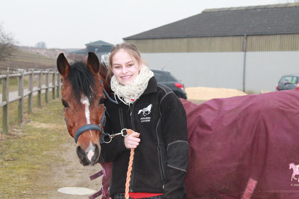 Tysk Sportspony Prop (Premiat) - Mig og Prop.
6/3-13, tak for billedet Sandra! billede 17