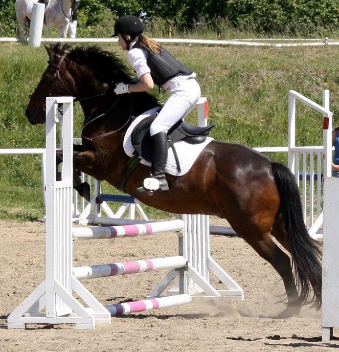 Anden særlig race Speedy RDH [Red] - Vores første 'seriøse' springstævne sammen - LF 70 cm billede 2