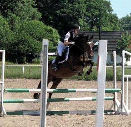 Anden særlig race Speedy RDH [Red] billede 1