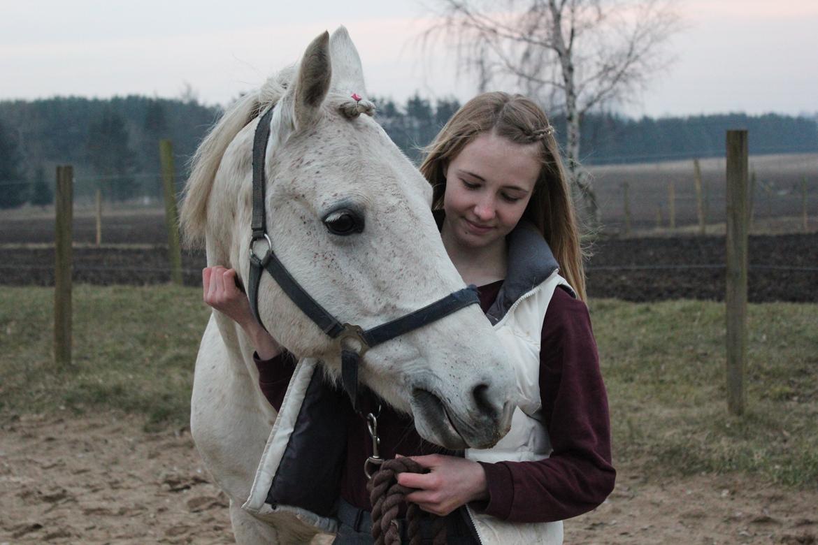 Connemara Elita Nordskov - Jeg elsker dig pony - 6. Marts 2013 - Taget af Fie billede 1