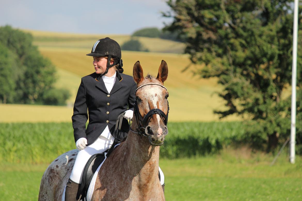 Appaloosa The touch of coco billede 1