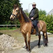 Anden særlig race Skoj Farming