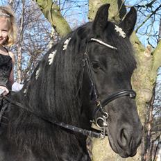 Frieser Tonja