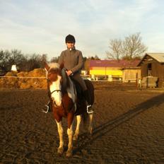 Anden særlig race Wotan