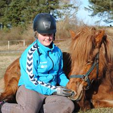 Islænder » Bjarlla Fra Spånlundgård <3