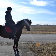 DSP Rolighedens Embla