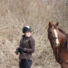 DSP Savannah Amour<3 