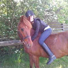 Anden særlig race Laban<3