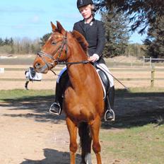 Anden særlig race Laban<3