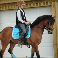 DSP Toftegaards Nismo