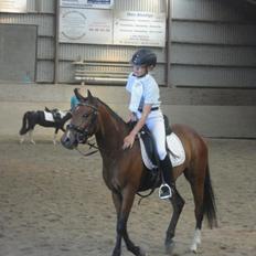 DSP Toftegaards Nismo