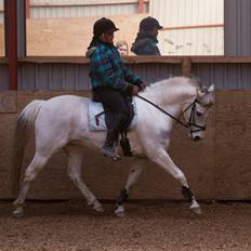 Anden særlig race Pepito my only one! <3