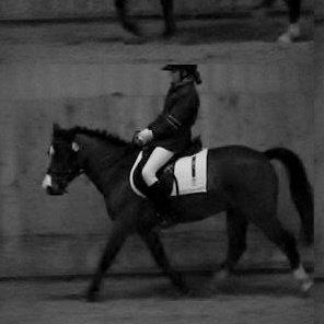 Anden særlig race Miranda *Muffin* - stævne i Gjern:D foto: Mille billede 14