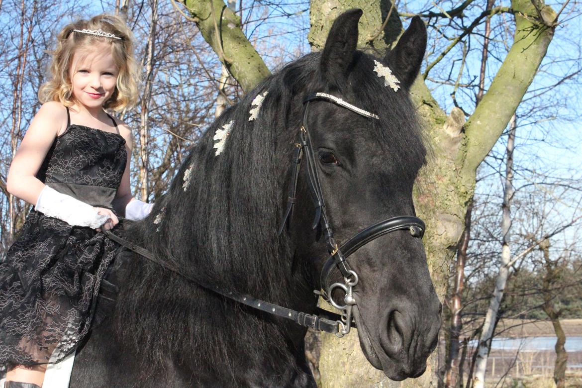 Frieser Tonja billede 1
