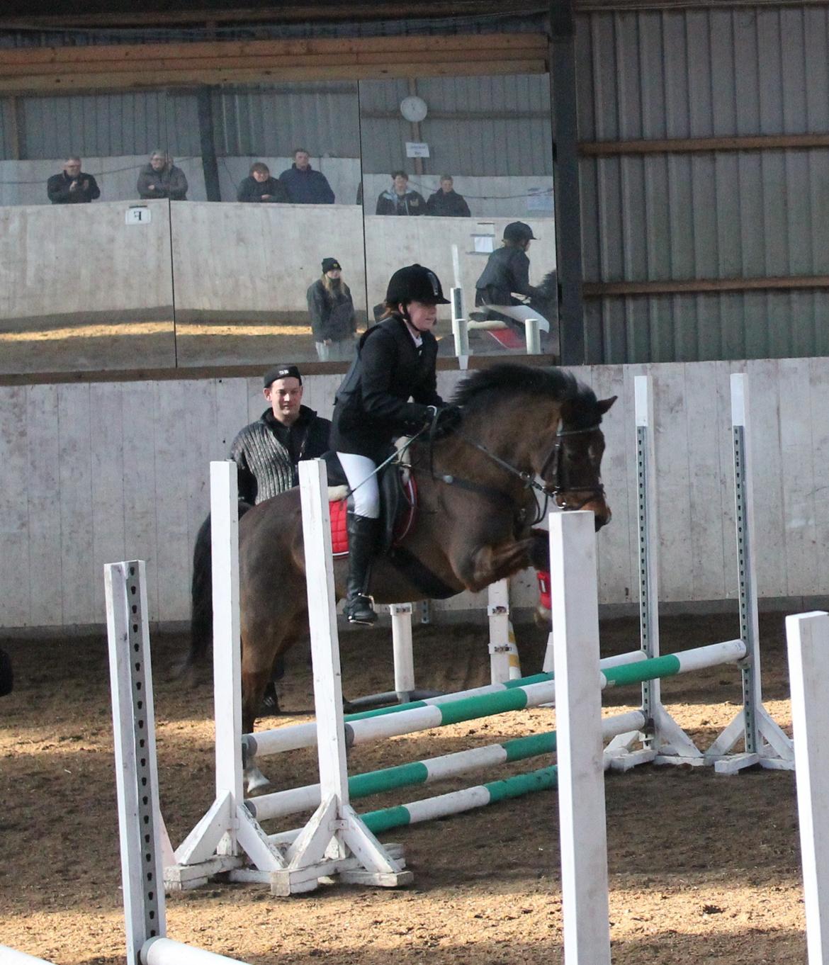 Anden særlig race Kojack | pony <3 | - Bebs og jeg til vores sidste stævne<3

Forår 2013.

Foto: Mor. billede 16