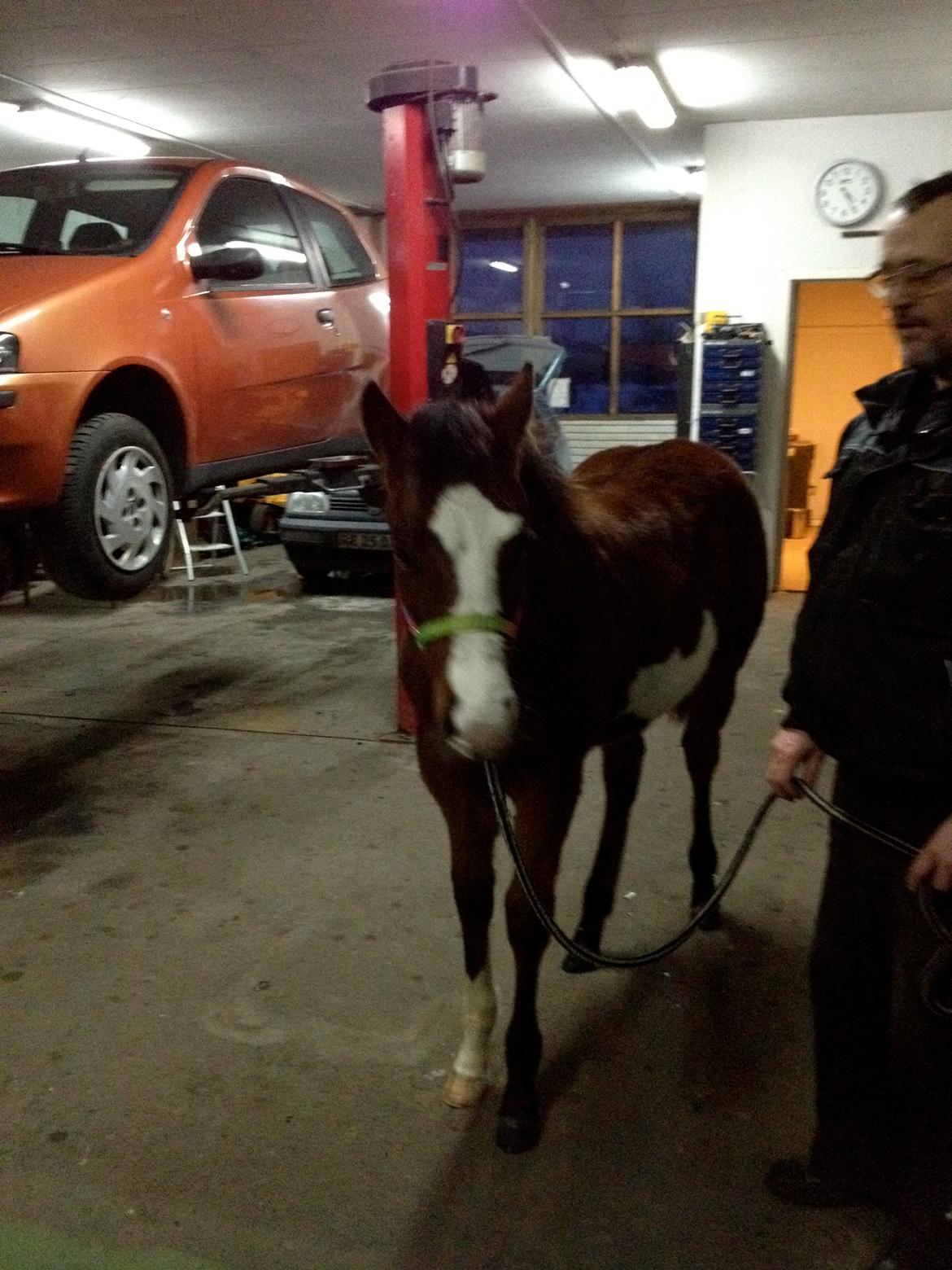 Paint HINTCOLONELJUSTINTIME - I dag har jeg samfundsfag i skolen. Jeg er på virksomhedsbesøg på værkstedet billede 6