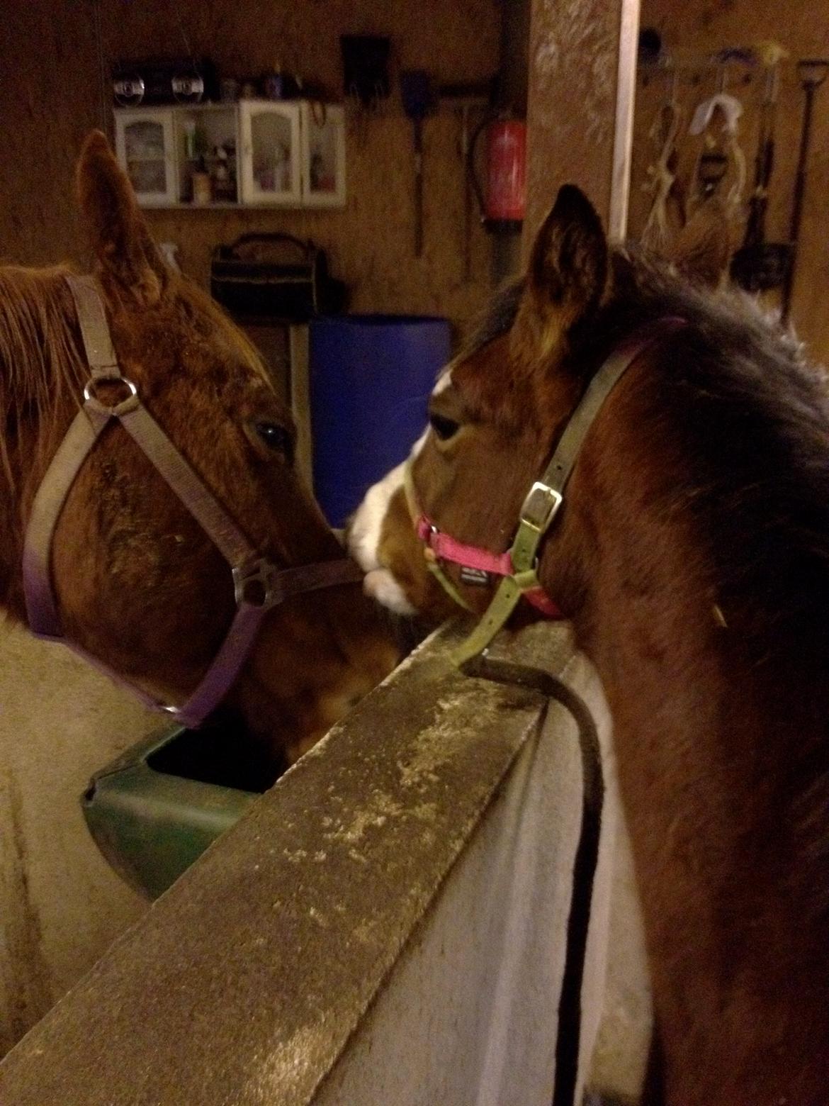 Paint HINTCOLONELJUSTINTIME - Mor, er du ikk snart færdig så vi kan komme ud???? billede 7