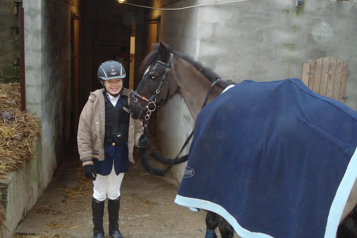 Anden særlig race Malibu - på vej ned i halen lidt nervøs   billede 11