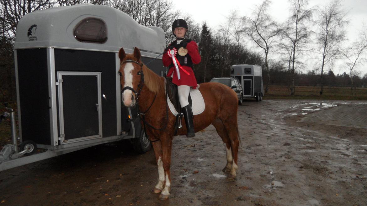 Anden særlig race La Fayette (Mit Et & ALT!!!) SOLGT - LD 1 plads 3 sekundter fra 2 pladsen nu er det slut med LD min prinsesse billede 16