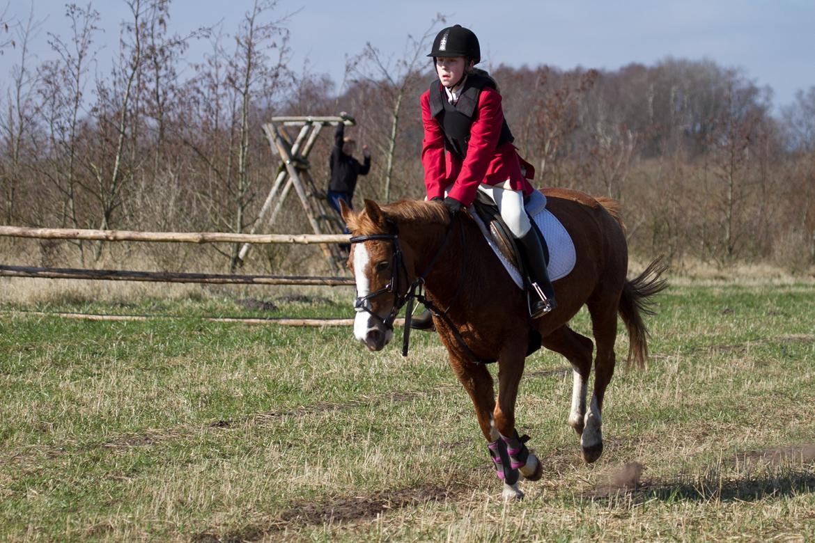 Anden særlig race La Fayette (Mit Et & ALT!!!) SOLGT - Kom så´ kom så´ kom´ så Prinsesse  billede 5