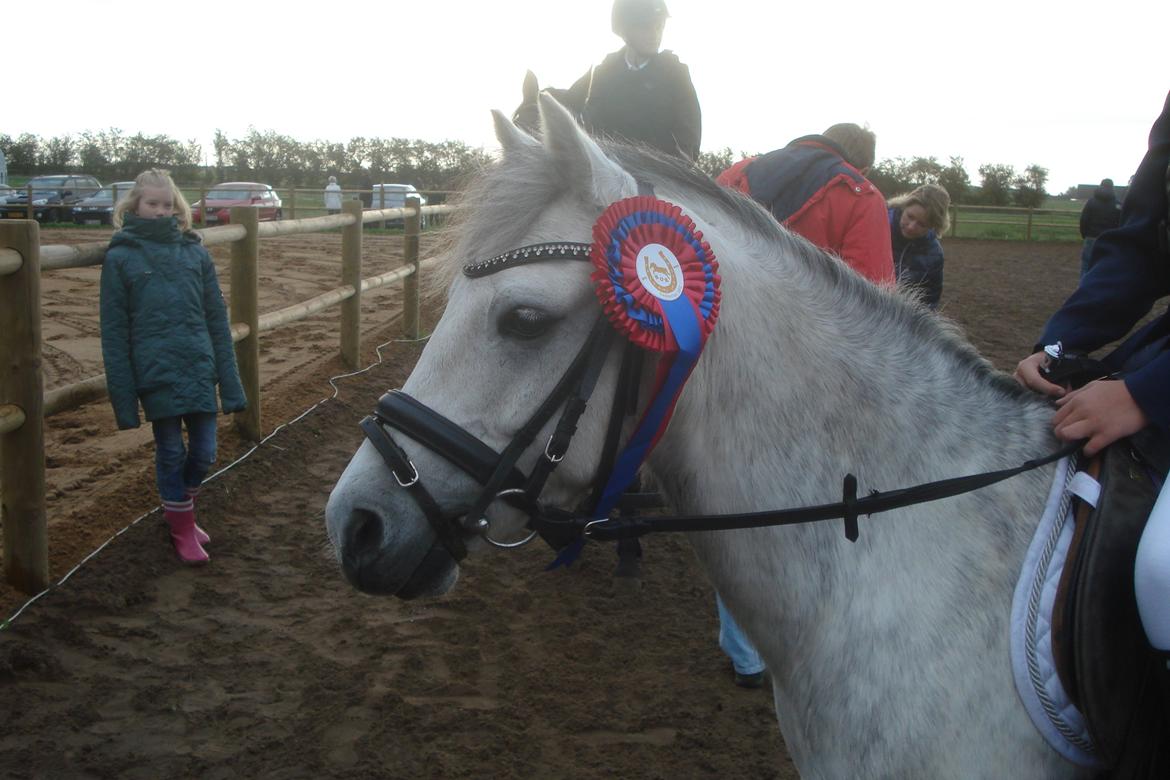 Anden særlig race Vestergårds FILUR<3 (MY LOVE) billede 11