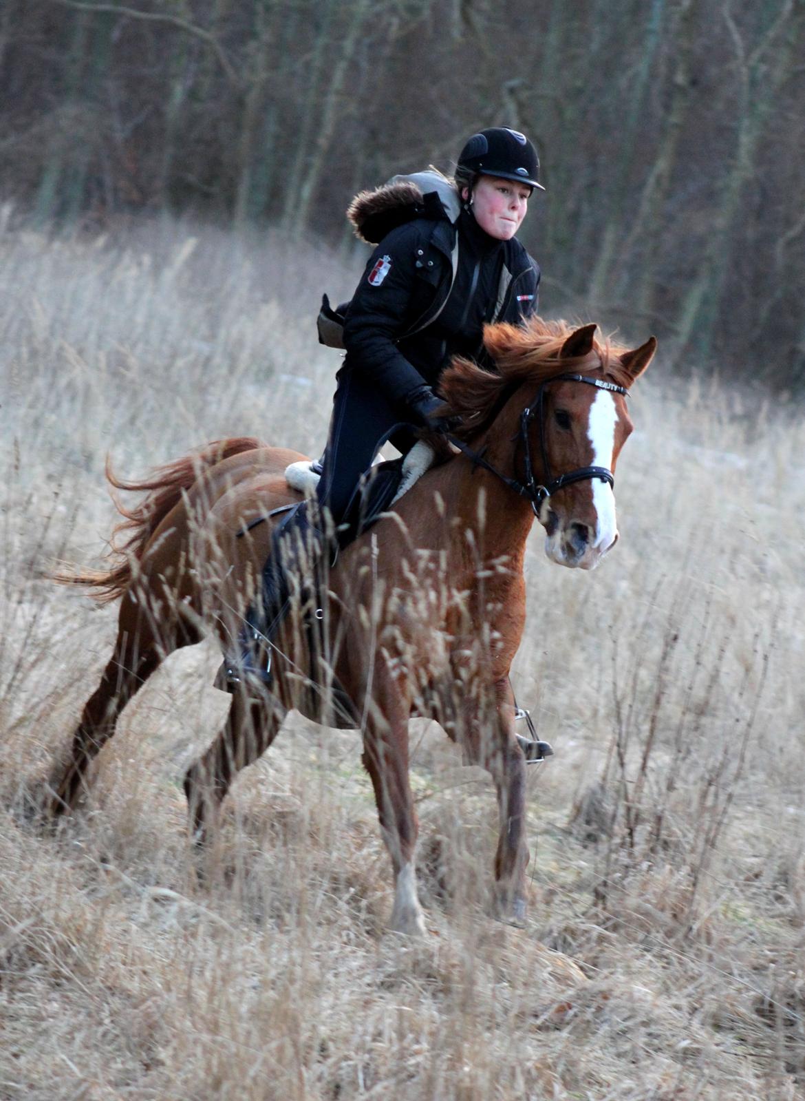 Anden særlig race Beauty buttefly-flip |Soulmate| - „Be weird. Be random. Be who you are. Because you will never know, who would love the person you hide.“
foto: Sille <3 billede 12