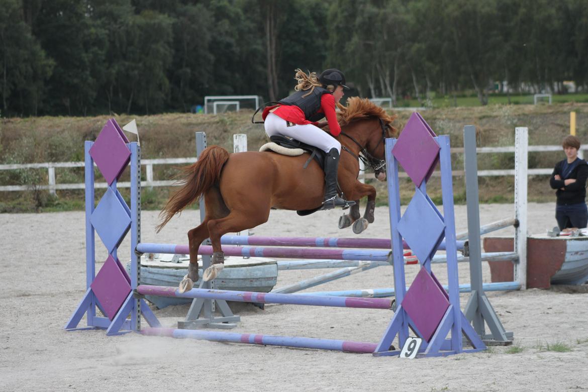 Anden særlig race Beauty buttefly-flip |Soulmate| - „Love is the strongest of all forces of nature - it is able to find joy even in sorrow.“
foto: Sille billede 16