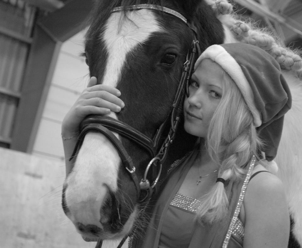 Irish Cob Hauge's Gilroy billede 7