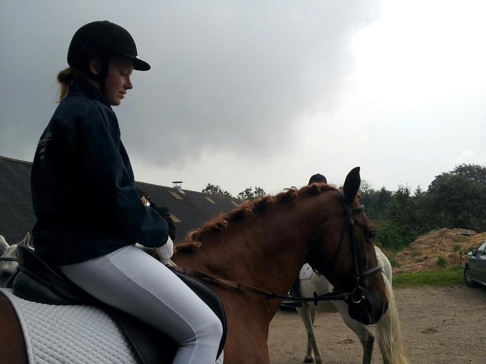 Anden særlig race Chivas [Har redet] - Første stævne på ham og første stævne for mig, vi fik en 4. plads billede 3