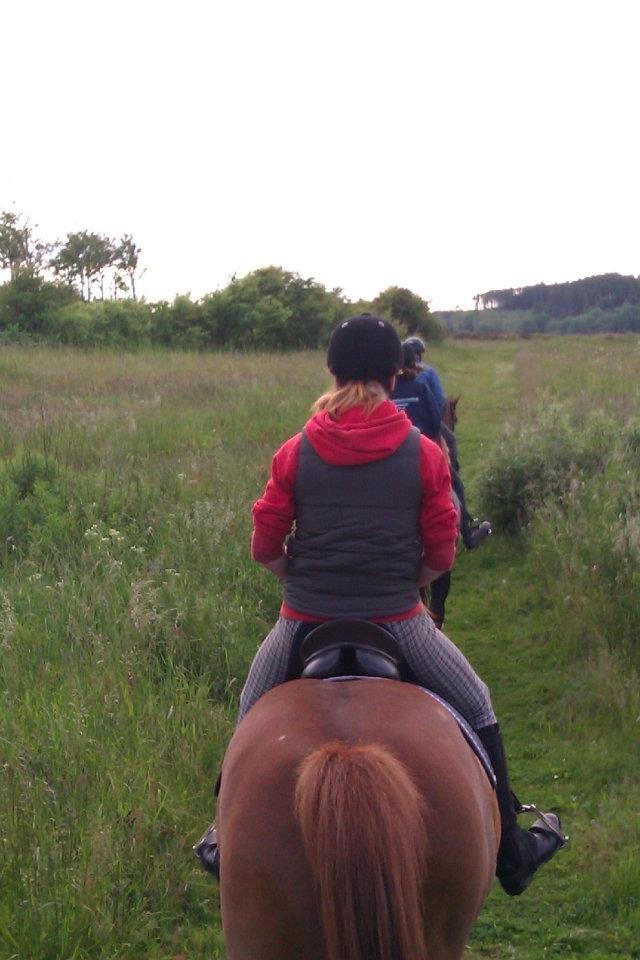 Anden særlig race Chivas [Har redet] billede 15