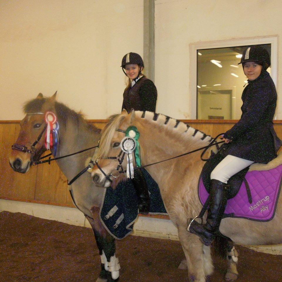Fjordhest Mastrup Ally - Sofie, Flicka, Ally og jeg til stævne på GLK med dagens rosethøst (Nov 2012). Sløjfe i LF (70 cm) og fjerde plads i LE (80 cm) til mig og Ally :D. billede 16