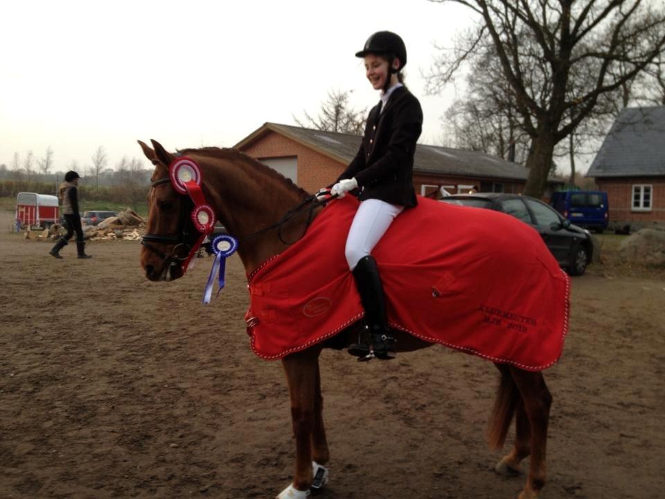 DSP Tofts Gambler billede 20