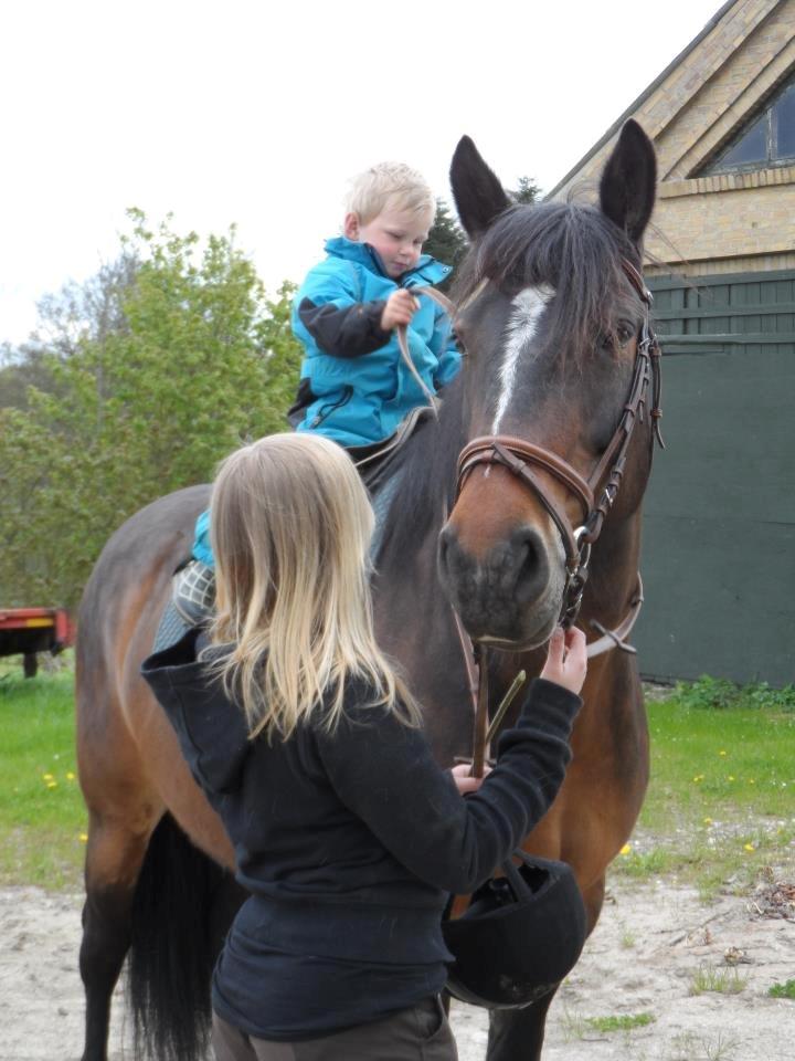 Oldenborg Jasmin billede 13