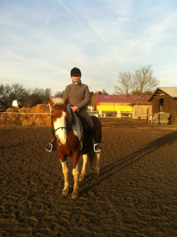 Anden særlig race Wotan - Os efter dressurtræning <3 billede 1