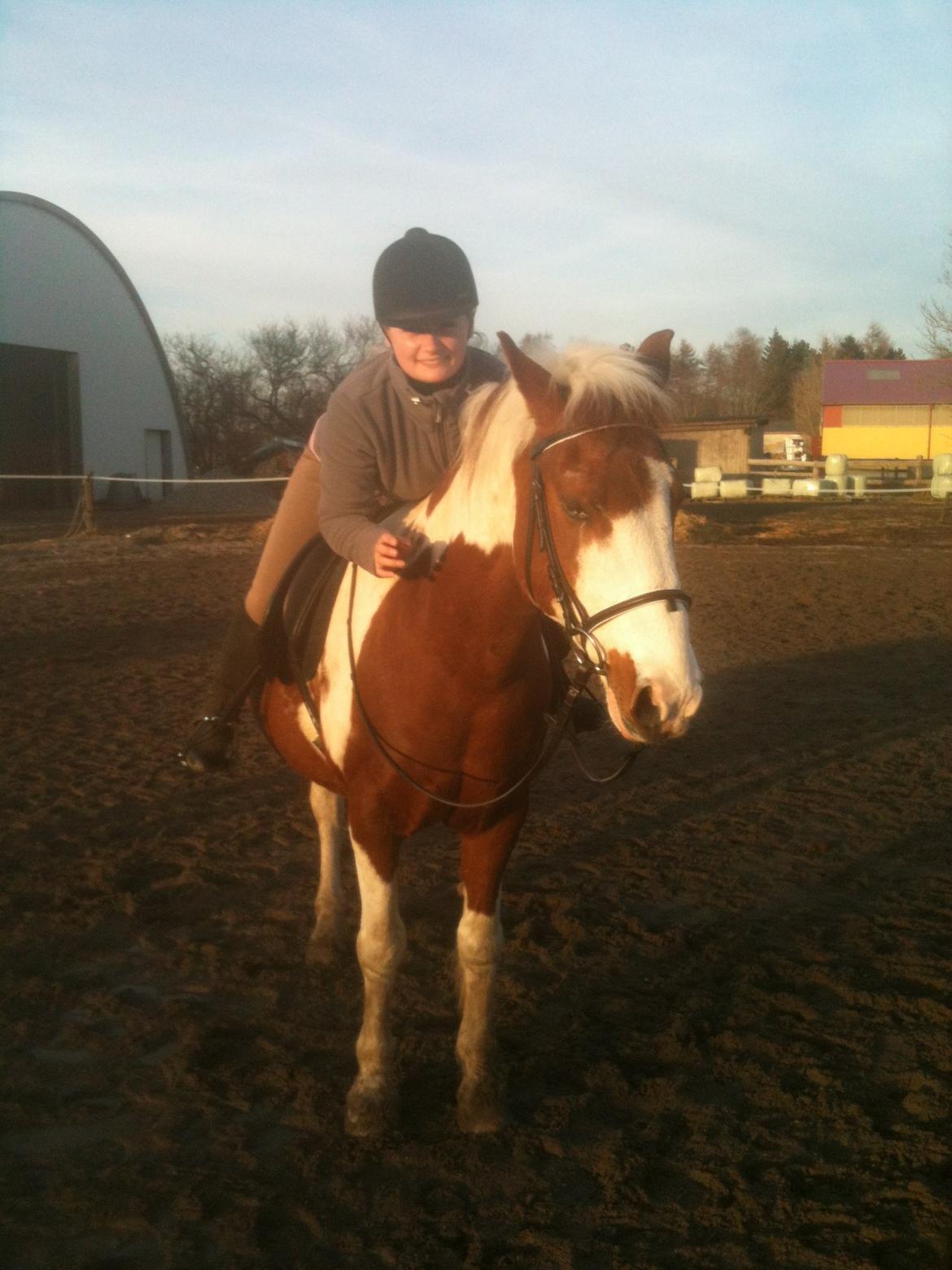 Anden særlig race Wotan - Glade mig og trætte Wotan <3 billede 2