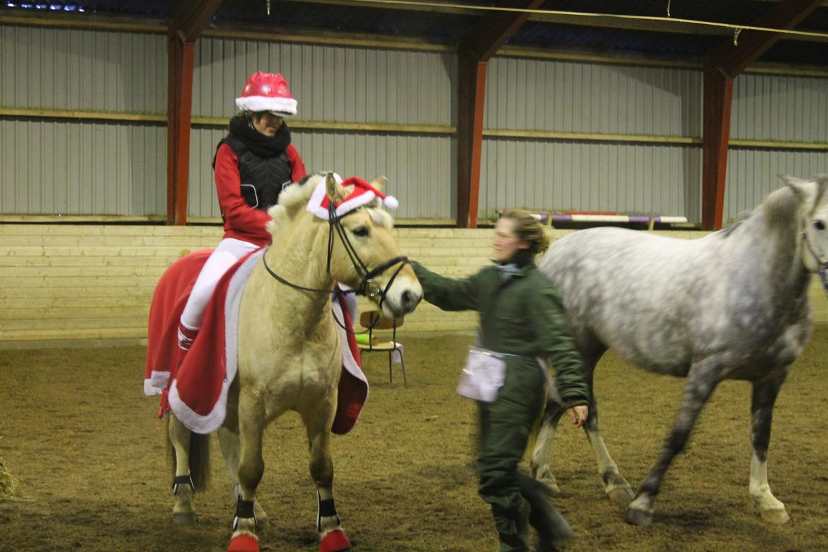 Fjordhest Pepsi Pony - lPeps <3l - 12) Mig & Pepsi klædt ud som nisser, til julespringning <33 Foto: Sofie  <3 billede 12