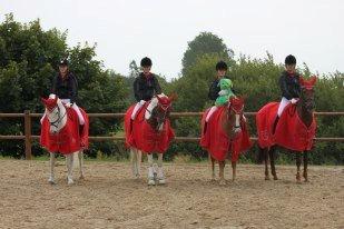 Anden særlig race Vicky Roma B-pony - DM hold 2012 <3 en fantastisk oplevelse med en masse dejlige mennesker :) billede 15