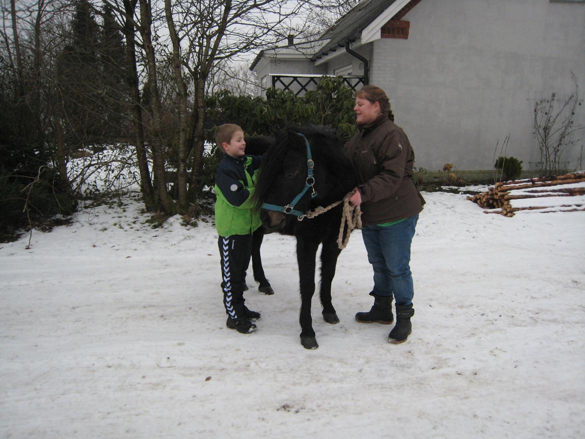 Dartmoor Machel - Drengen er glad, ponyen er glad og moderen er glad <3 billede 12