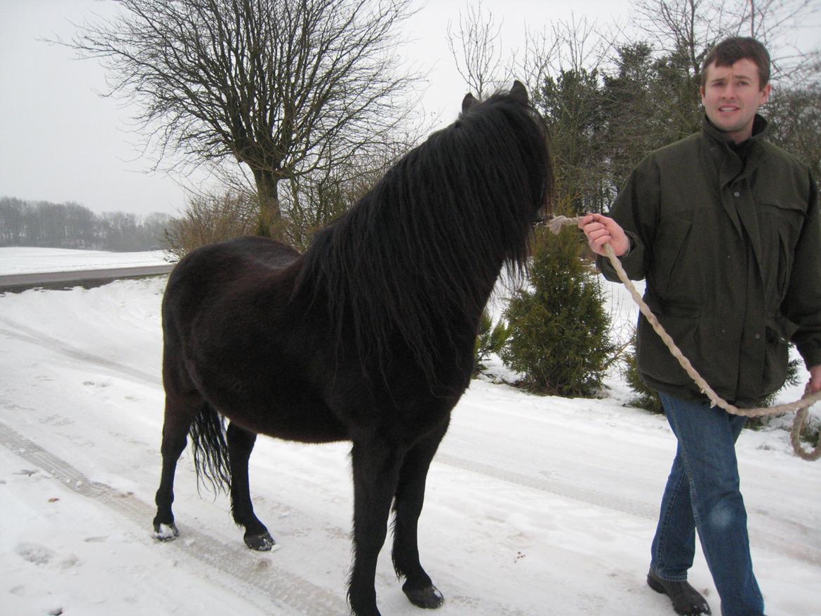 Dartmoor Machel - Ude på en lille tur billede 8