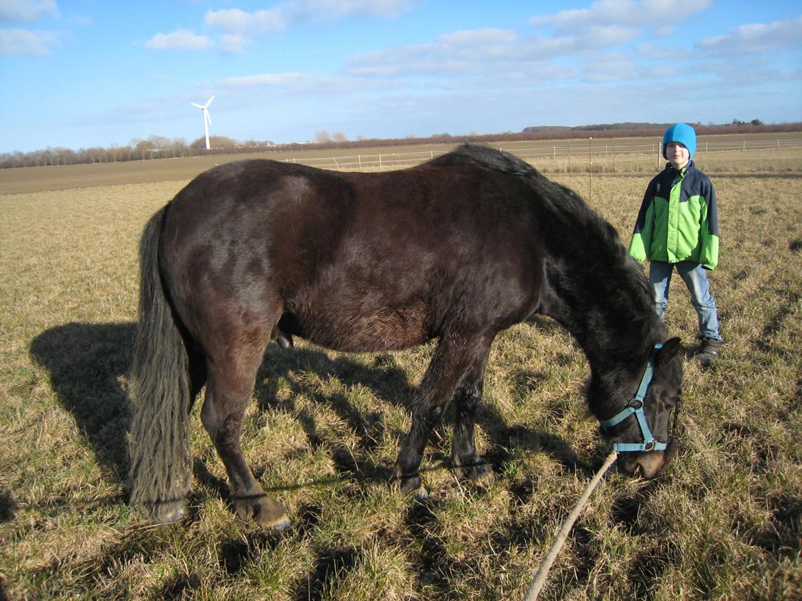 Dartmoor Machel - Ude på en lille tur sammen med Emil billede 18
