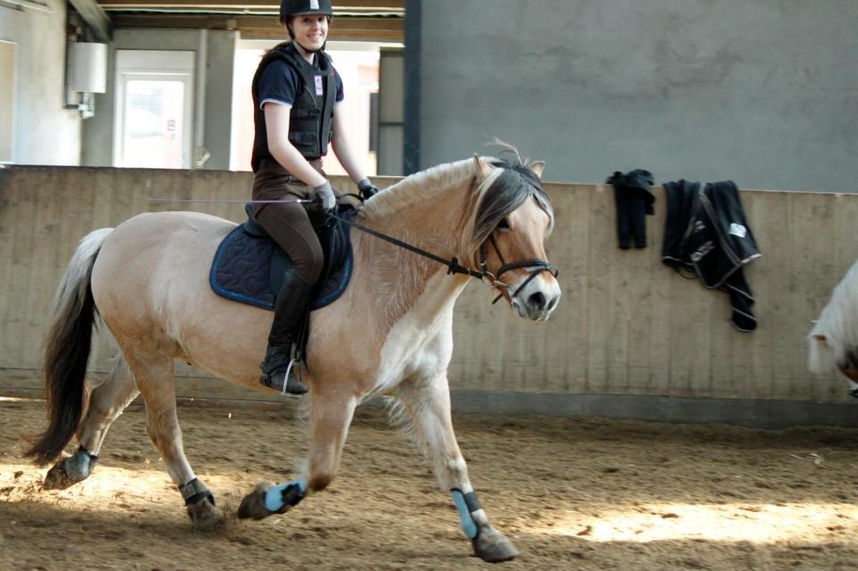 Fjordhest TOT - Spring- træning en hyggelig lørdag formiddag :) billede 9