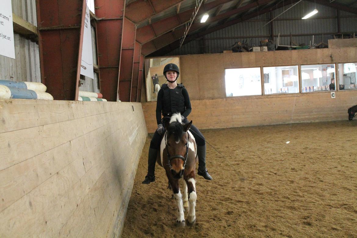 Anden særlig race Flicka [ELEVPONY] - Vi rider uden sadel :) 2013 billede 13