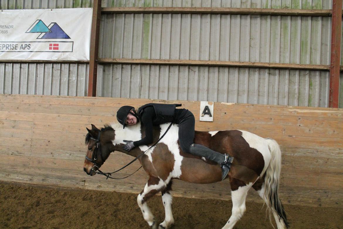 Anden særlig race Flicka [ELEVPONY] - Fliiiiicka <3 2013 billede 10