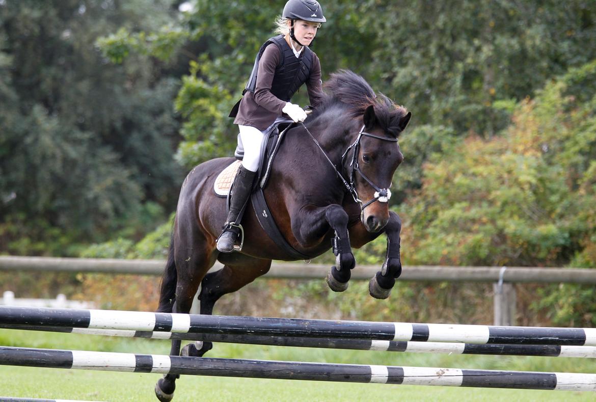 Anden særlig race Super star. <3 - Super Star! <3 billede 1