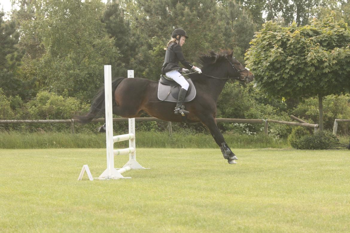 Anden særlig race Super star. <3 - Du dejlig! skattebasse<3 billede 9