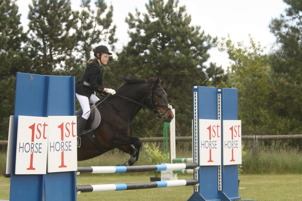 Anden særlig race Super star. <3 - Stævne! :-* billede 10